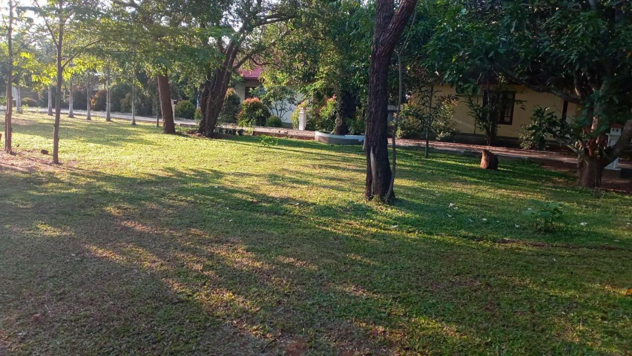 Hotel Tree Garden Wilpaththu Nochchiyagma Anuradhapura Nochchiyagama Zewnętrze zdjęcie
