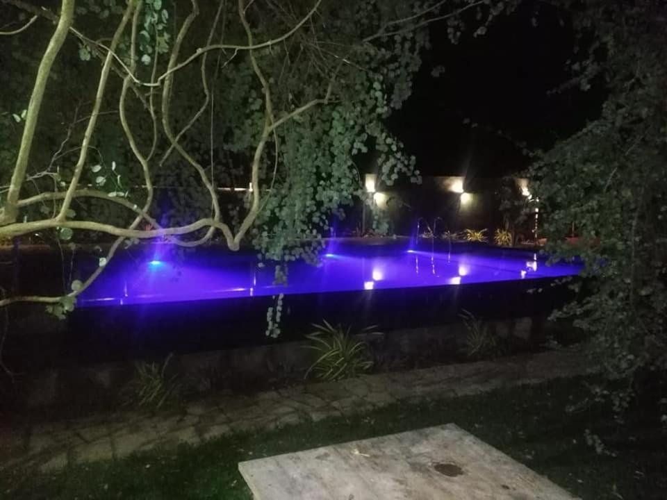 Hotel Tree Garden Wilpaththu Nochchiyagma Anuradhapura Nochchiyagama Zewnętrze zdjęcie