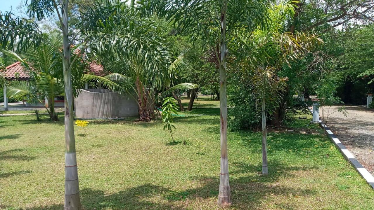 Hotel Tree Garden Wilpaththu Nochchiyagma Anuradhapura Nochchiyagama Zewnętrze zdjęcie