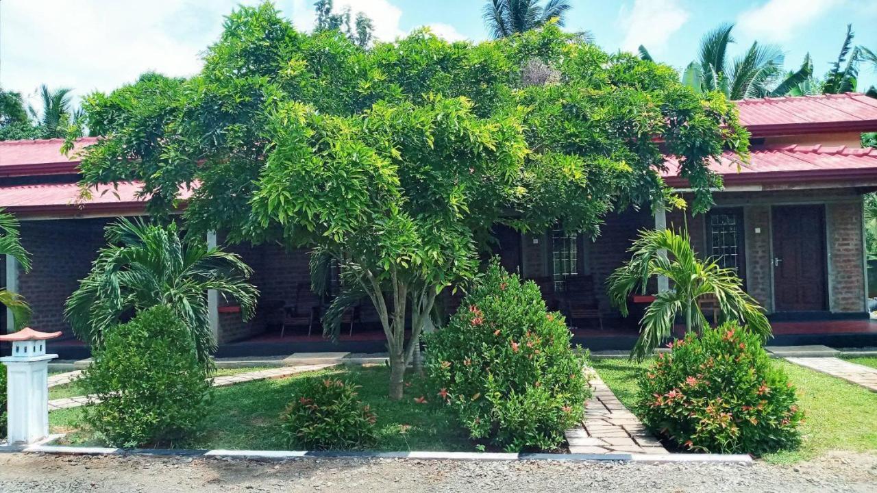 Hotel Tree Garden Wilpaththu Nochchiyagma Anuradhapura Nochchiyagama Zewnętrze zdjęcie