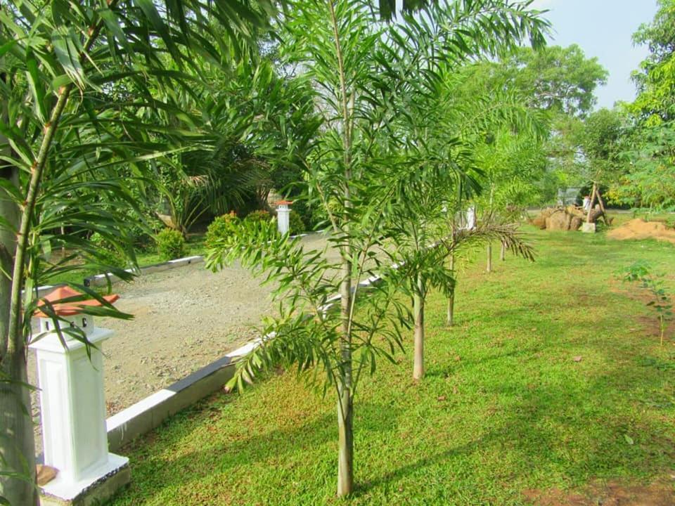Hotel Tree Garden Wilpaththu Nochchiyagma Anuradhapura Nochchiyagama Zewnętrze zdjęcie