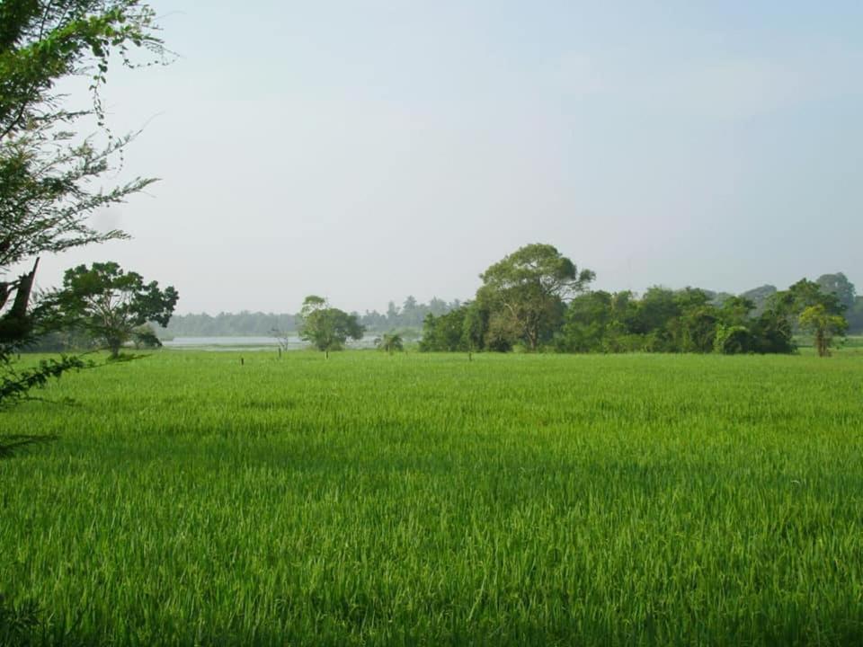Hotel Tree Garden Wilpaththu Nochchiyagma Anuradhapura Nochchiyagama Zewnętrze zdjęcie