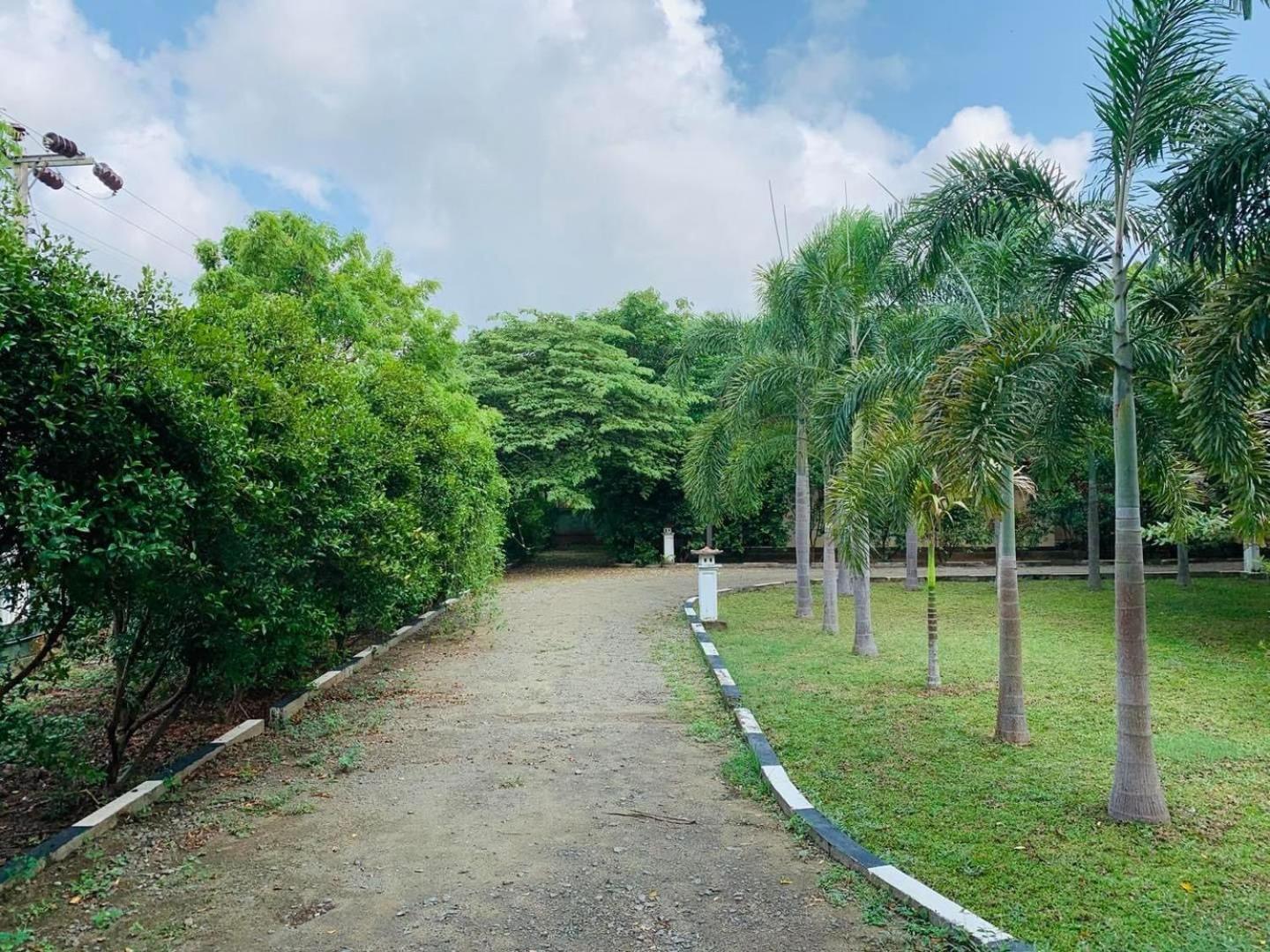 Hotel Tree Garden Wilpaththu Nochchiyagma Anuradhapura Nochchiyagama Zewnętrze zdjęcie