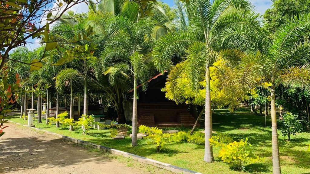 Hotel Tree Garden Wilpaththu Nochchiyagma Anuradhapura Nochchiyagama Zewnętrze zdjęcie