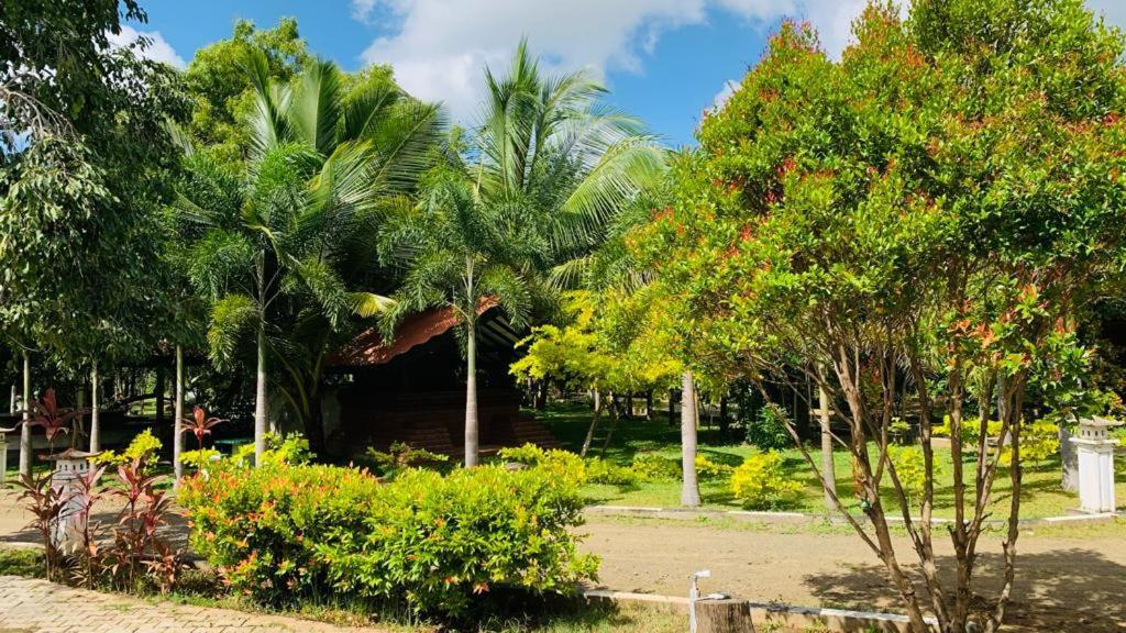 Hotel Tree Garden Wilpaththu Nochchiyagma Anuradhapura Nochchiyagama Zewnętrze zdjęcie
